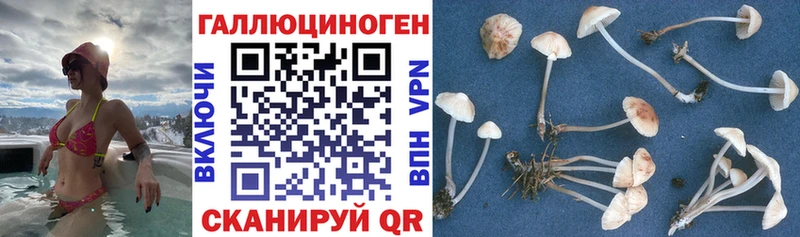 mega ссылки  Макушино  Псилоцибиновые грибы мухоморы 