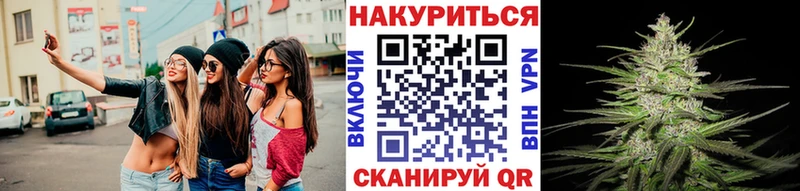 Канабис ГИДРОПОН  Макушино 